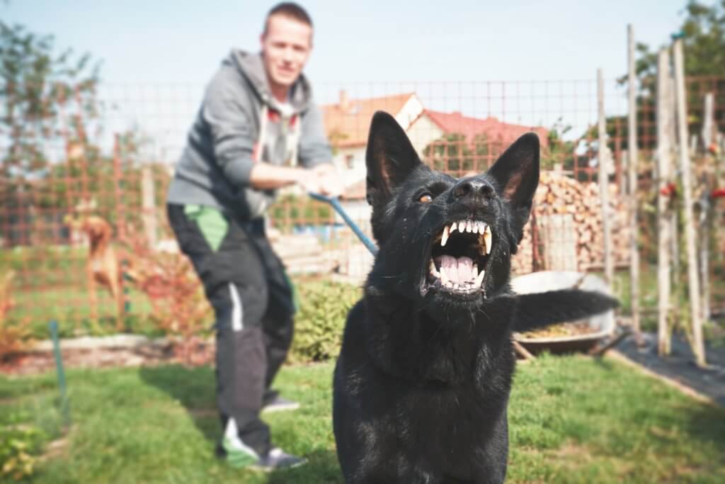 owner can be liable for dog bite